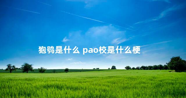 狍鸮是什么 pao校是什么梗